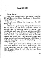 Chữa bệnh bằng cây lá quanh nhà (Phần 4) potx