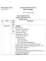 Tóm tắt thành tích 2010 (T.Quân)