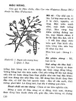 Cây thuốc chữa bệnh thông dụng (Phần 2-Kỳ 5) ppsx
