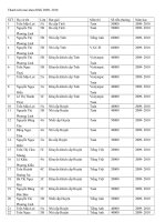 Thành tích PT Mũi nhọn 2009 2010