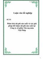 Luận văn: Phân tích chi phí sản xuất và các giải pháp tiết kiệm chi phí sản xuất tại Công ty cổ phần Tôn mạ màu Việt Pháp pot