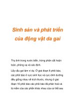 Sinh sản và phát triển của động vật da gai pot
