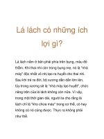 Lá lách có những ích lợi gì? pps