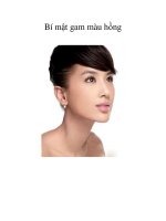 Bí mật gam màu hồng ppsx