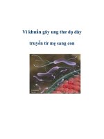 Vi khuẩn gây ung thư dạ dày truyền từ mẹ sang con pps