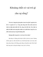 Khoáng chất có vai trò gì cho sự sống? potx