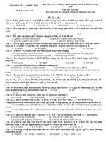 ĐỀ THI THỬ TN - HÓA 2010