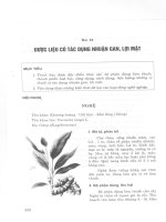 Giáo trình dược liệu (Bài 18) pot