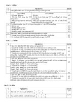 Đáp Án HSG Sinh 12 bảng B