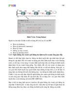 Giáo trình hệ tính CCNA Tập 2 P17 doc