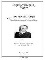 Sáng kiến kinh nghiệm 11 - Cơ bản - vùng khó