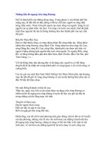 Những bến đò ngang trên sông Hương pot