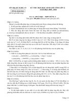 Đề thi HSG Tỉnh NA môn Hóa 12 A