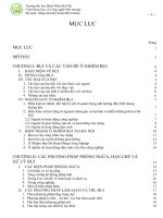 Tiểu luận Nhập môn Kỹ thuật môi trường doc