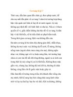 Cư tang là gì ? ppt