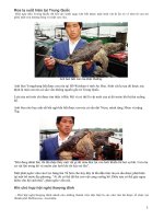 Chuyện lạ của 1 số Động vật và thực vật