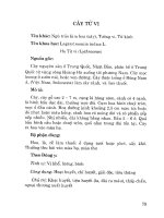 Cây hoa chữa bệnh (Phần 5) ppsx