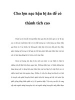 Cho lợn nạc hậu bị ăn để có thành tích cao pps