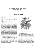 Những cây thuốc và vị thuốc Việt Nam (Phần II-XVI) pot