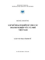 luận văn lập kế hoạch khởi sự cho các doanh nghiệp vừa và nhỏ ở việt nam