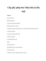 Cấp giấy phép thu Nhân dân tệ tiền mặt pot