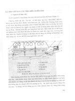 Giáo trình cơ điện tử - Các thành phần cơ bản 20 doc