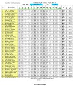 Tổng hợp HK2 lớp 11A2