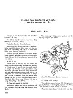 Những cây thuốc và vị thuốc Việt Nam (Phần II-XI) doc