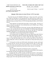 Báo cáo tổng kết Tiểu học (PGD)