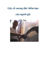 Gãy cổ xương đùi: hiểm họa của người già pps