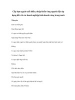 Cấp hạn ngạch xuất khẩu, nhập khẩu vàng nguyên liệu áp dụng đối với các doanh nghiệp kinh doanh vàng trong nước pptx