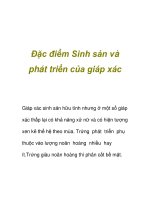 Đặc điểm Sinh sản và phát triển của giáp xác doc