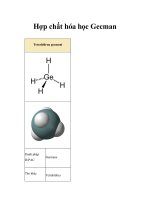 Hợp chất hóa học Gecman pot