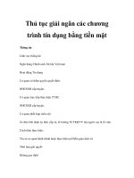 Thủ tục giải ngân các chương trình tín dụng bằng tiền mặt ppt