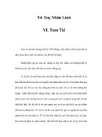 Vũ Trụ Nhân Linh - VI. Tam Tài pot