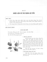 Giáo trình dược liệu (Bài 17) potx