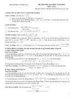 De va DA thu DH 2010 Toan