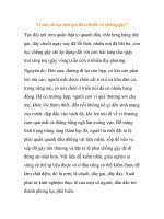 Vì sao có tục mũ gai đai chuối và chống gậy? pptx