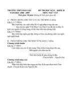 Đề thi HK II Ngữ Văn