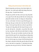 Những cách gỡ bí cho bạn trẻ khi lo đám cưới ppsx