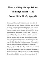 Thiết lập Blog của bạn Đối với lợi nhuận nhanh - The Secret Little để xếp hạng tốt doc