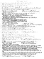 de thi thu-theo cấu trúc năm 2010