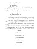 Công Nghệ Thực Phẩm - Chế Biến Thực Phẩm part 2 ppt