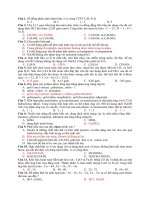 AMIN-AMINOAXIT-POLIME