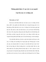 Gọi tên cây cỏ và động vật ppsx