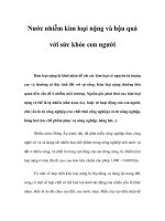 Nước nhiễm kim loại nặng và hậu quả với sức khỏe con người ppsx