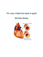 Tử vong vì bệnh tim mạch ở người đái tháo đường pps