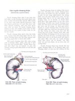 Atlas giải phẫu người - Phần nội tạng (Phần 18) potx