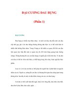 ĐẠI CƯƠNG ĐAU BỤNG (Phần 1) ppt