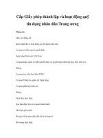 Cấp Giấy phép thành lập và hoạt động quỹ tín dụng nhân dân Trung ương potx